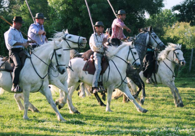 Côte d'Azur - ESCAPADE de TROIS JOURS en CAMARGUE LES 10, 11 et 12 JUIN 2026